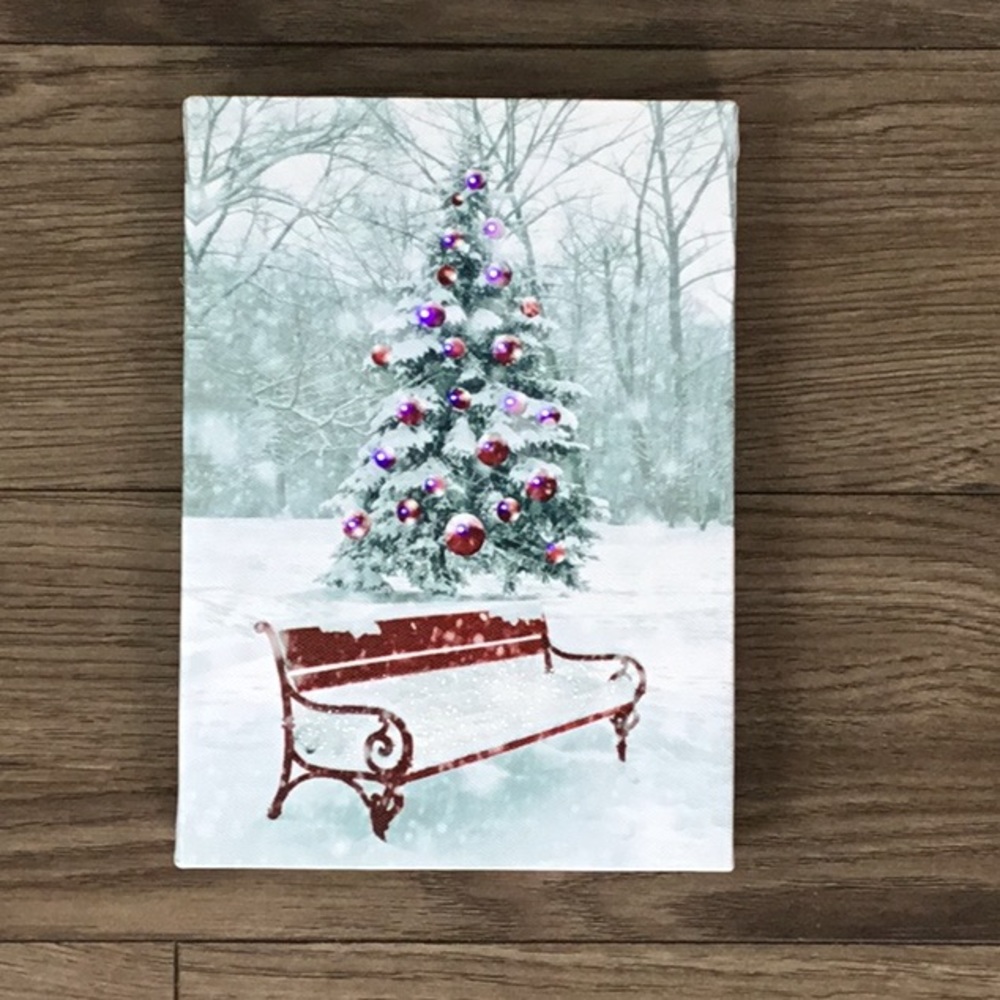 Holiday LED Canvas